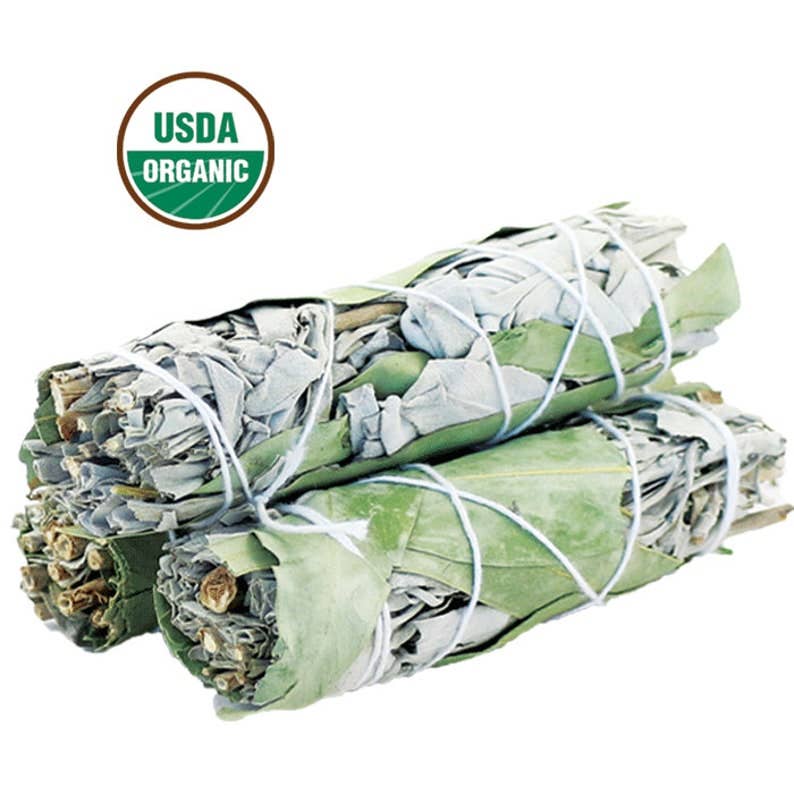 Eucalyptus White Sage Organic Smudge 4" Sticks