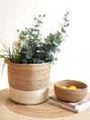 Colorblock Baskets (Set of 2)