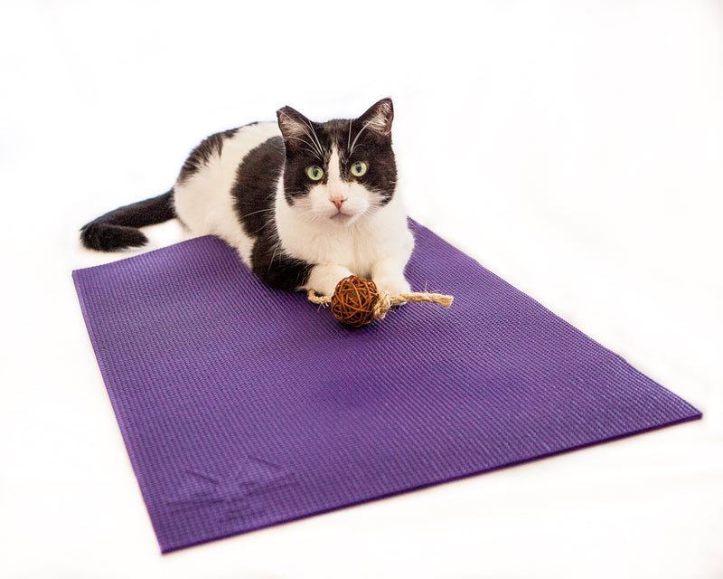 Yoga Cat Mat - Purple