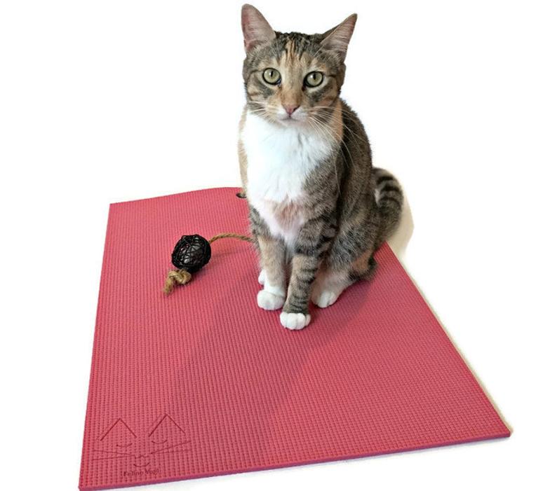 Yoga Cat Mat - Pink