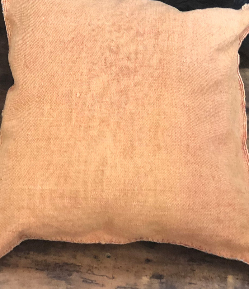 Clay Cactus Silk Throw Pillow