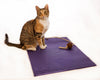 Yoga Cat Mat - Purple