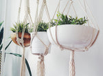 Macrame Plant Hangers